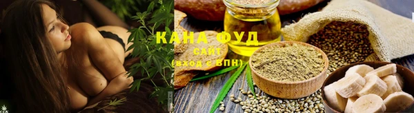 индика Волоколамск