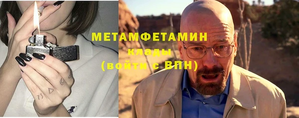 индика Волоколамск