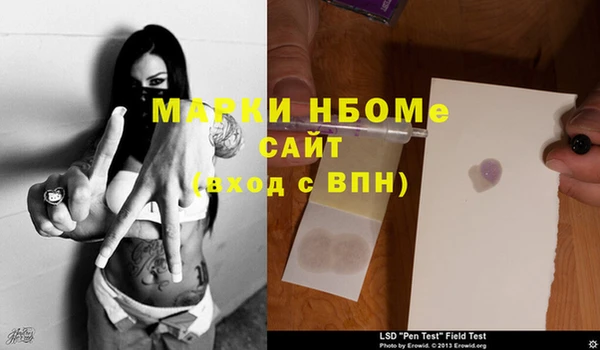 индика Волоколамск
