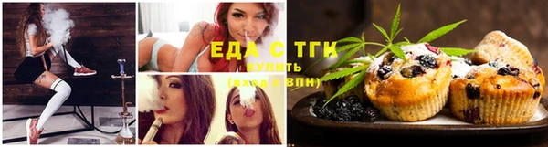 индика Волоколамск