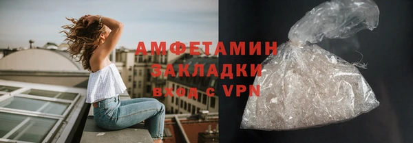 индика Волоколамск