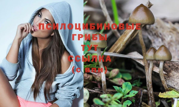 индика Волоколамск