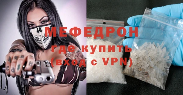 индика Волоколамск