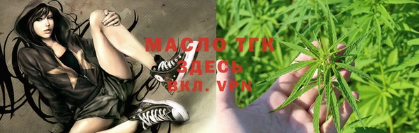 индика Волоколамск