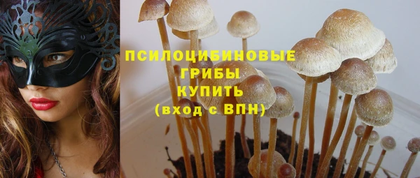 гашик Володарск