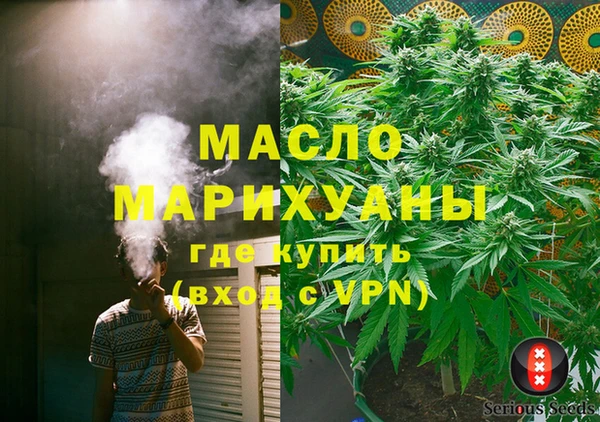 индика Волоколамск