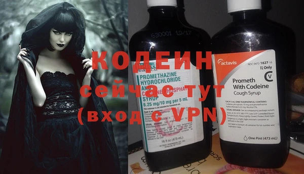 индика Волоколамск